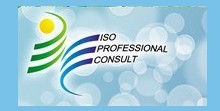 ISO Professional Consult