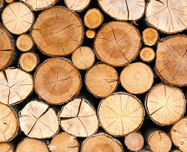 Заги БГ - търговията с фасониран дървен материал и продукти за огрев гр. София