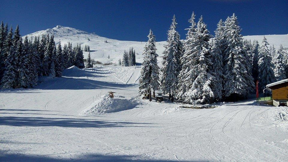 Ски и сноуборд училище Марина спорт гр. София