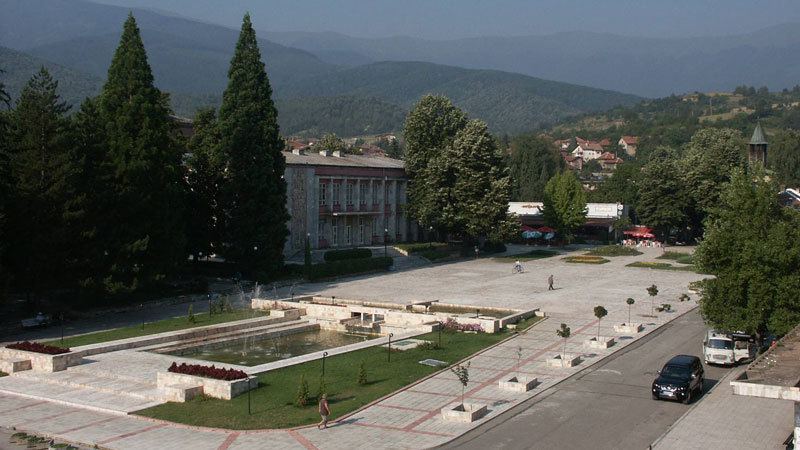 Община Берковица