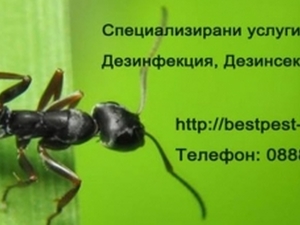 Бест Пест ЕООД