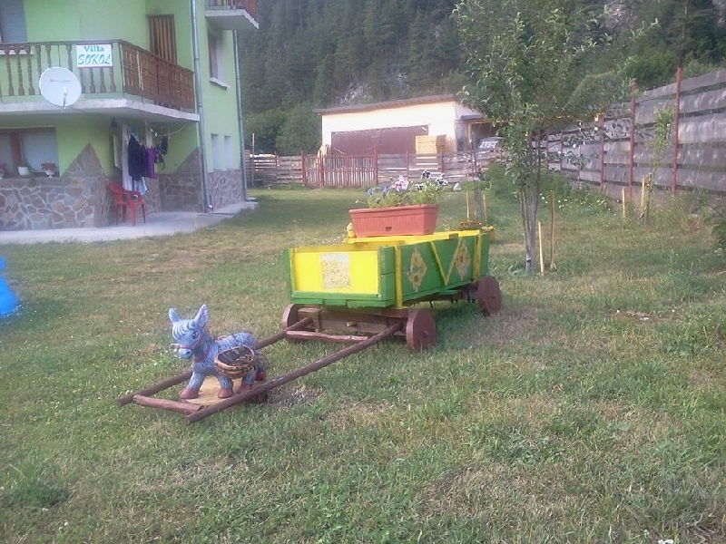 Вила Сокол