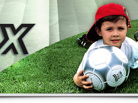 ТОТЕХ Озеленяване • Бизнес Каталог - Пътят към успеха и разширяването ...