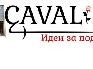 Магазин за подаръци CAVALIER гр. Шумен