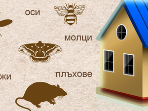 Рис ДДД - борба с вредители гр. София