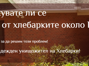 Инсект Контрол гр. София
